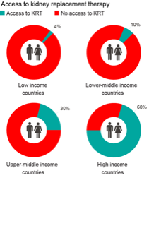 Income-related variability in access to kidney replacement therapy (KRT). Access defined as end stage kidney disease patients receiving KRT