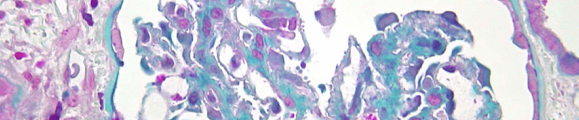 banner_professionnels